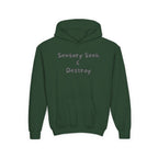 “Sensory Seek & Destroy” Youth Hoodie