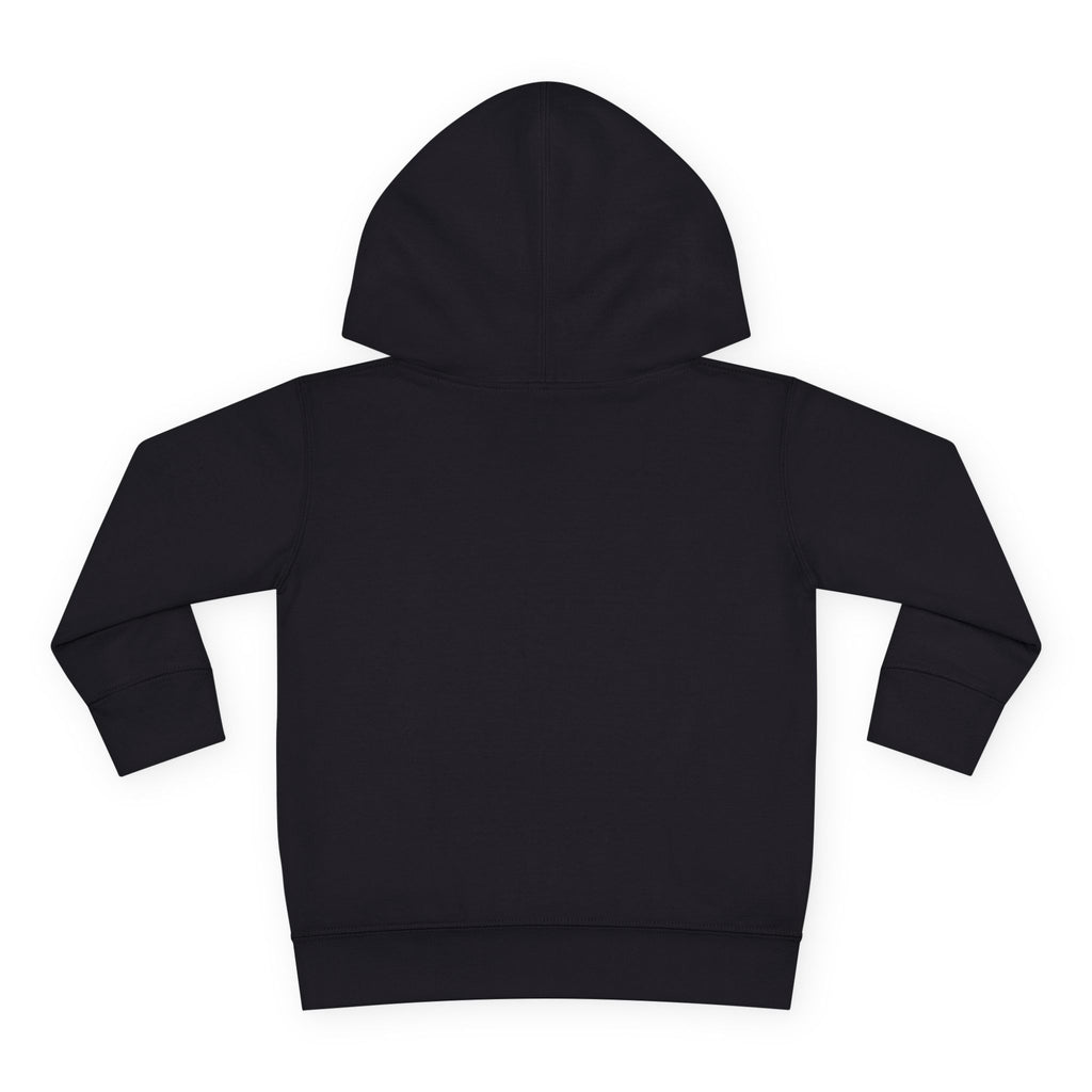 “Type 1 Diabadass” Toddler Hoodie