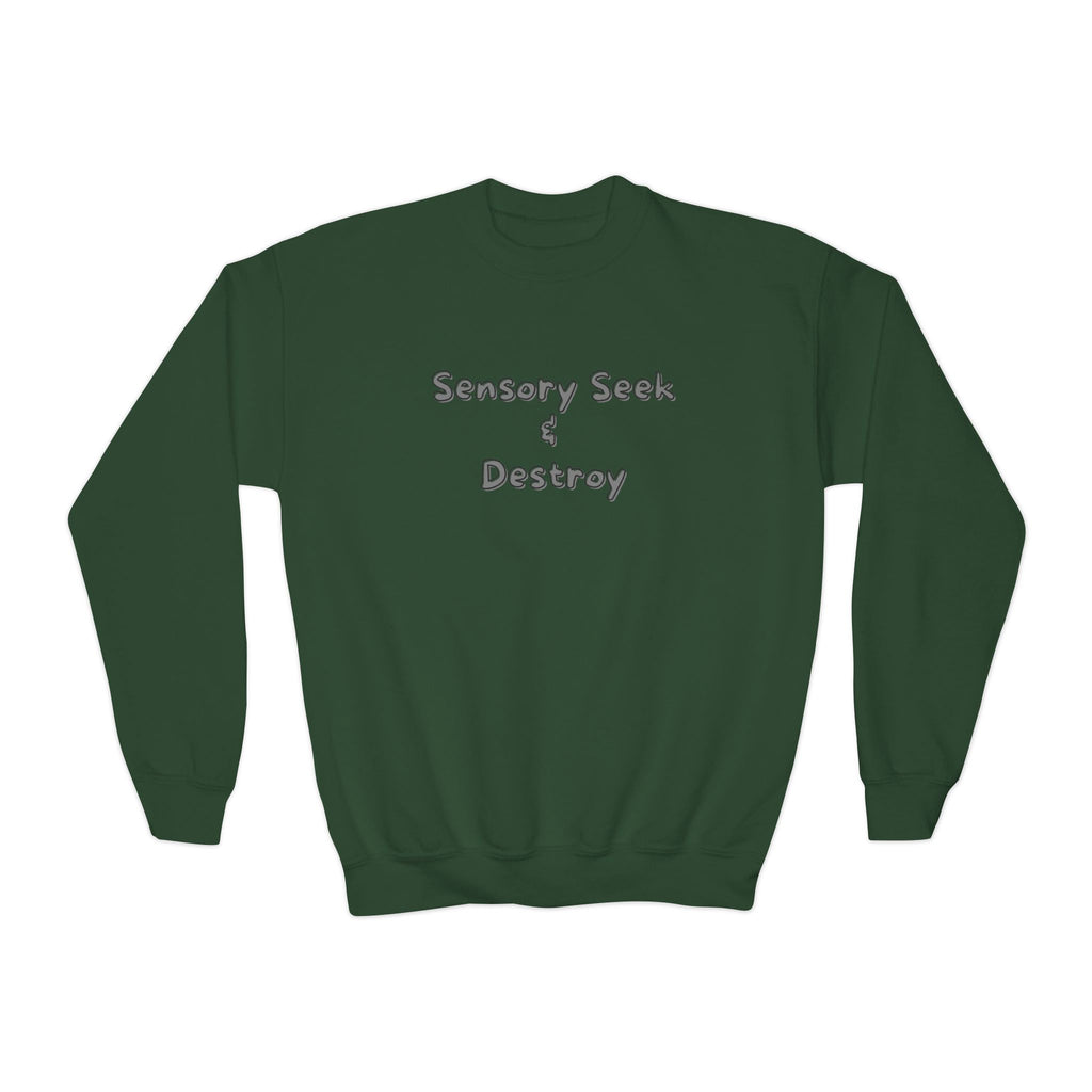“Sensory Seek & Destroy” Youth Sweater