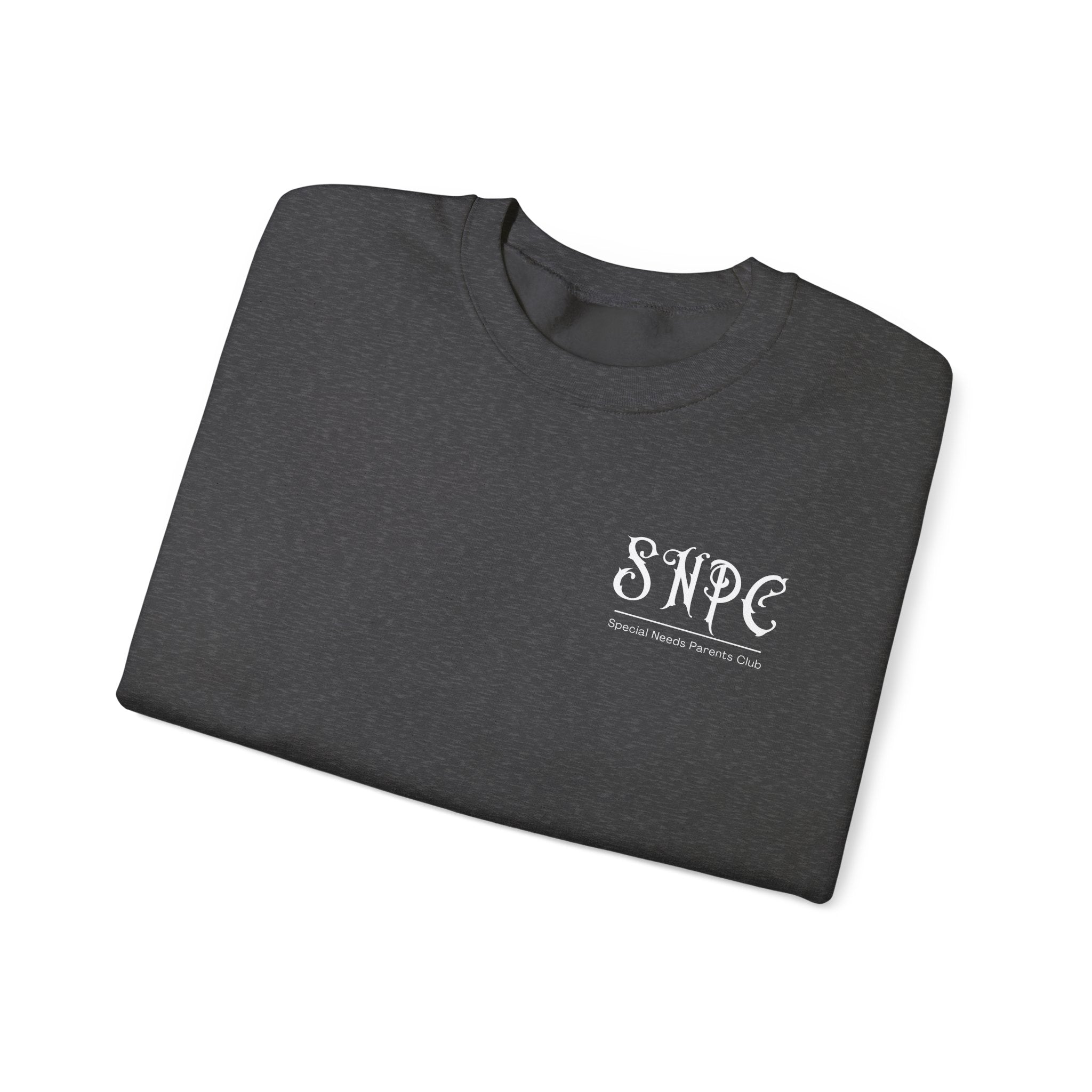 “All Abilities Rock” SNPC Men’s Sweater