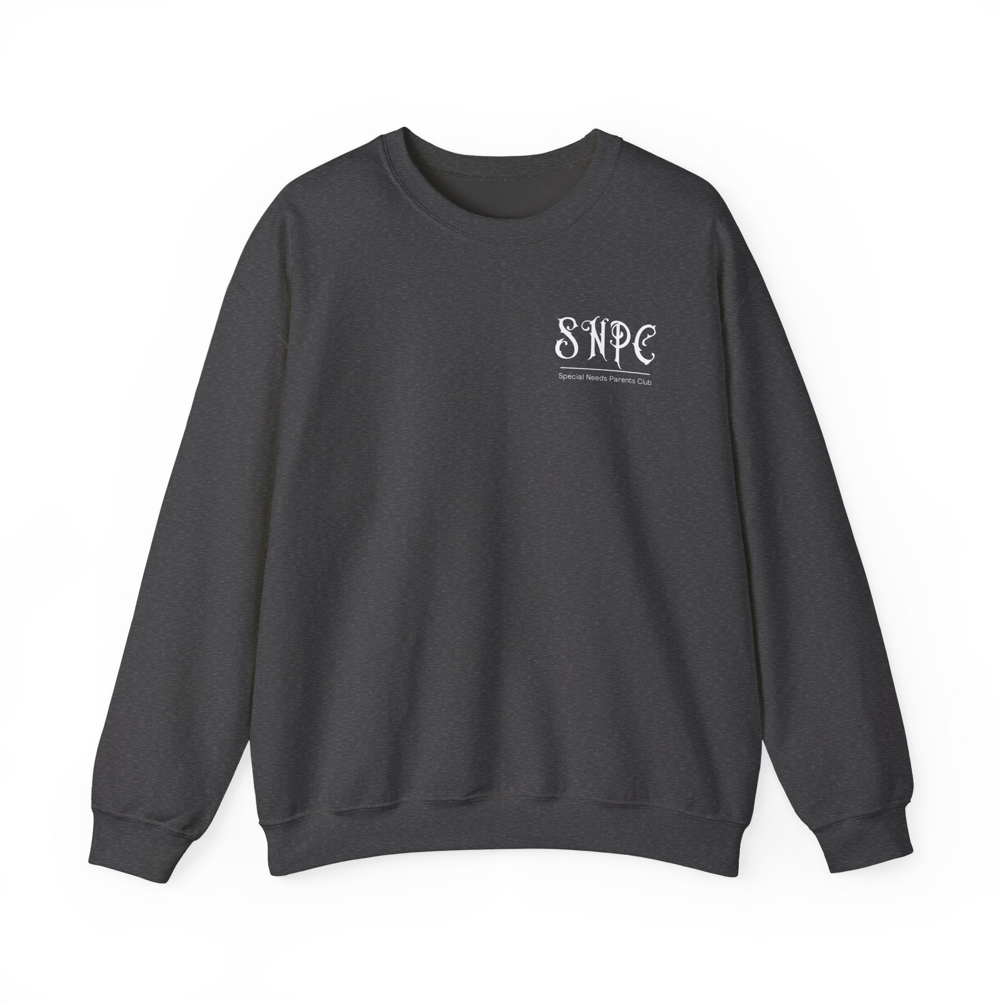 “All Abilities Rock” SNPC Men’s Sweater