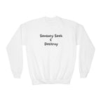 “Sensory Seek & Destroy” Youth Sweater