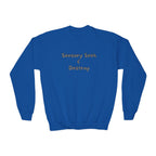 “Sensory Seek & Destroy” Youth Sweater