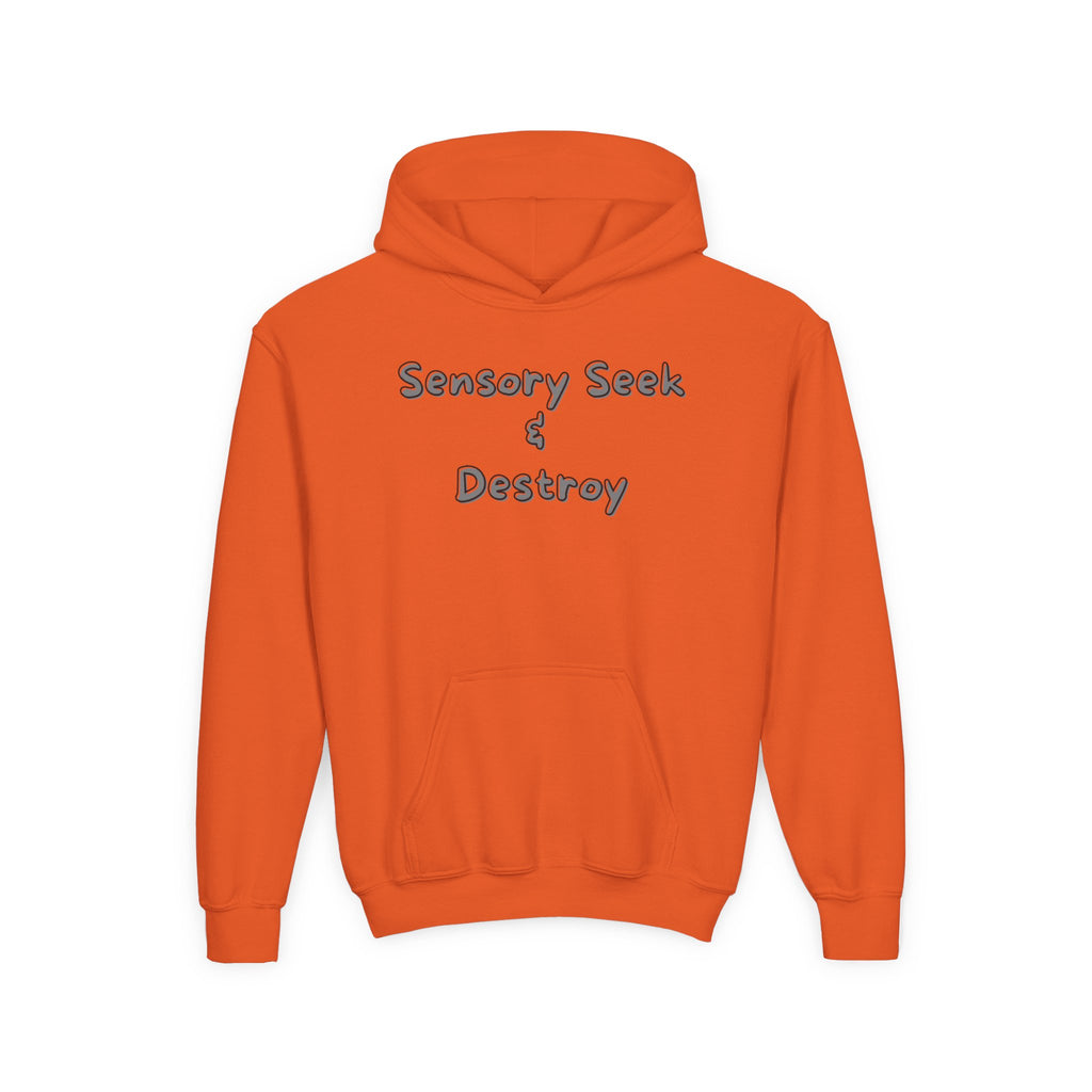 “Sensory Seek & Destroy” Youth Hoodie