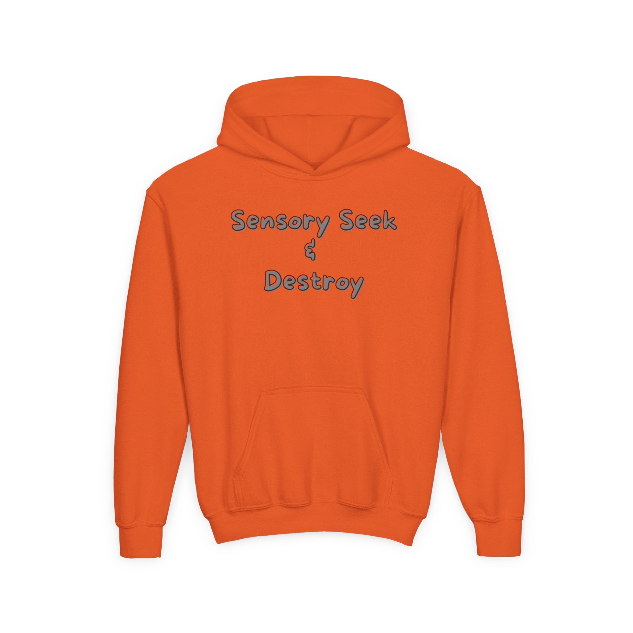 “Sensory Seek & Destroy” Youth Hoodie