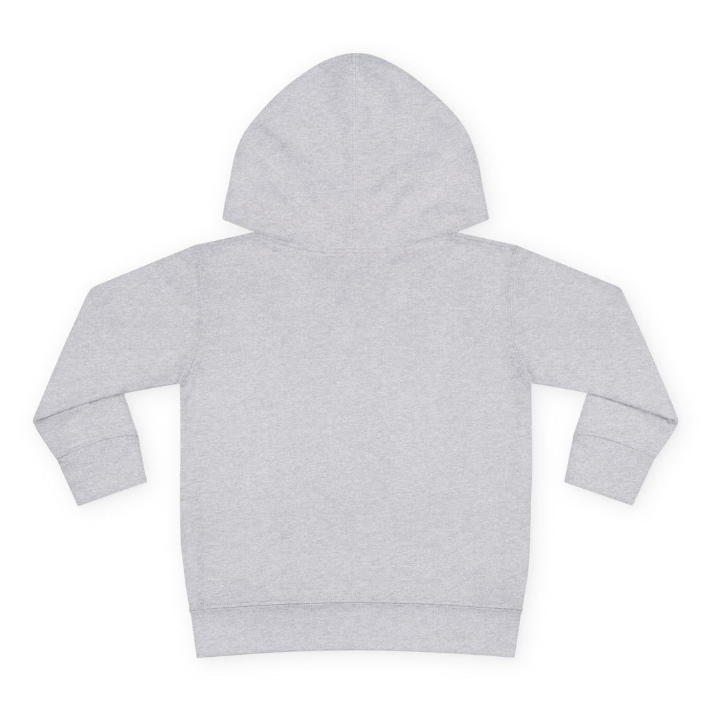 “Type 1 Diabadass” Toddler Hoodie