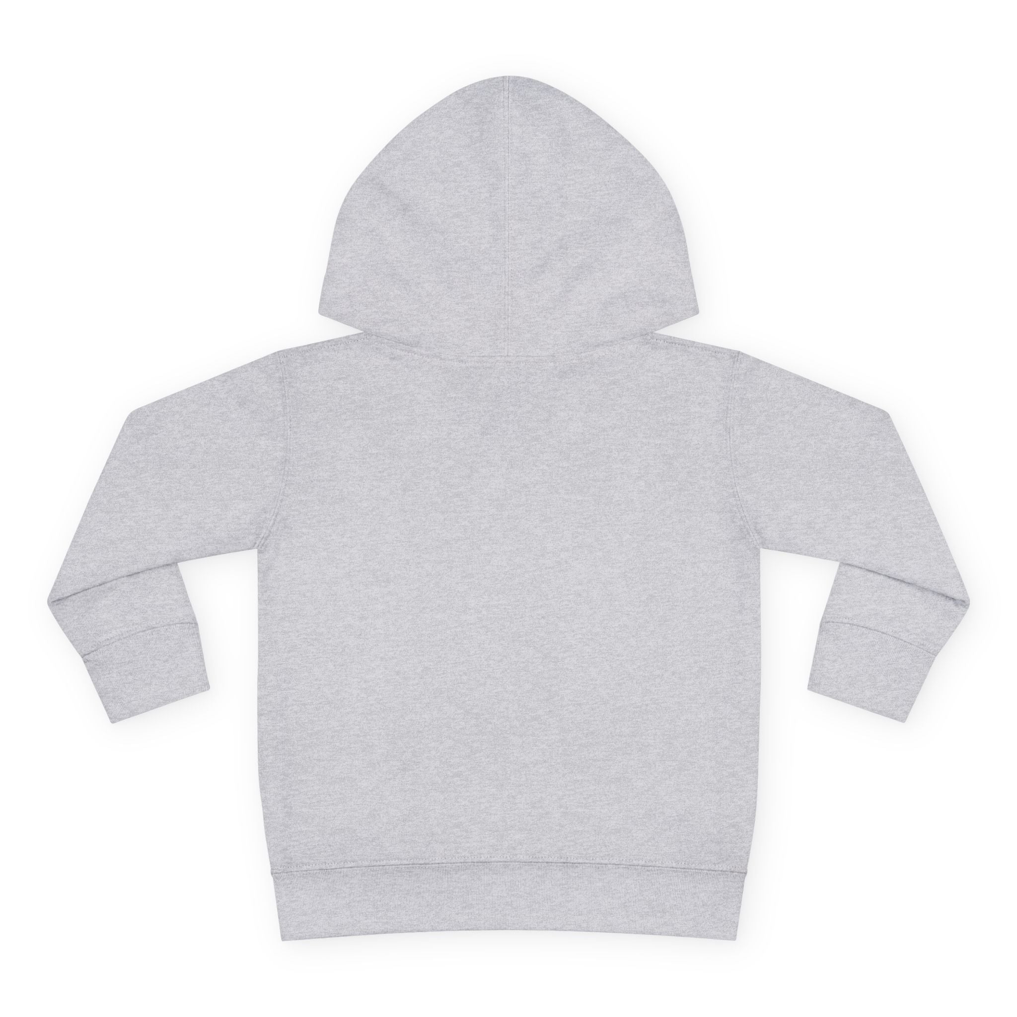 “Type 1 Diabadass” Toddler Hoodie