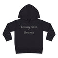 “Sensory Seek & Destroy” Toddler Hoodie