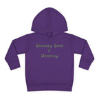 “Sensory Seek & Destroy” Toddler Hoodie