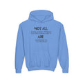 “Not All Disabilities Are Visible” Youth Hoodie