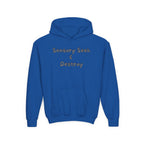 “Sensory Seek & Destroy” Youth Hoodie