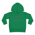 “Sensory Seek & Destroy” Toddler Hoodie