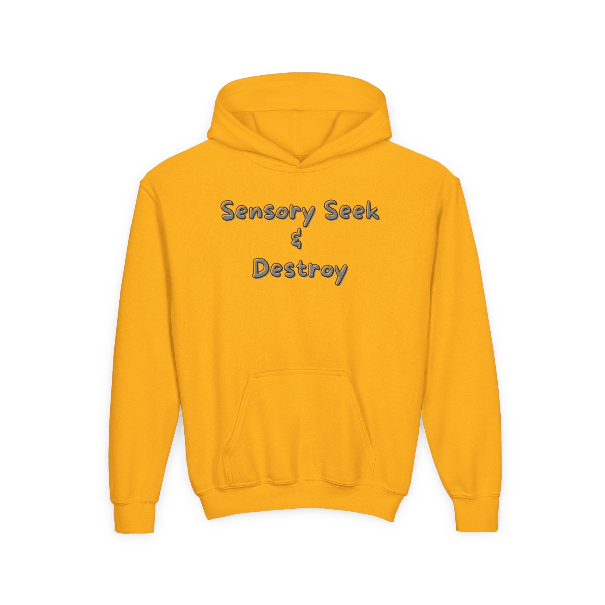 “Sensory Seek & Destroy” Youth Hoodie