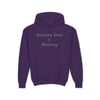 “Sensory Seek & Destroy” Youth Hoodie