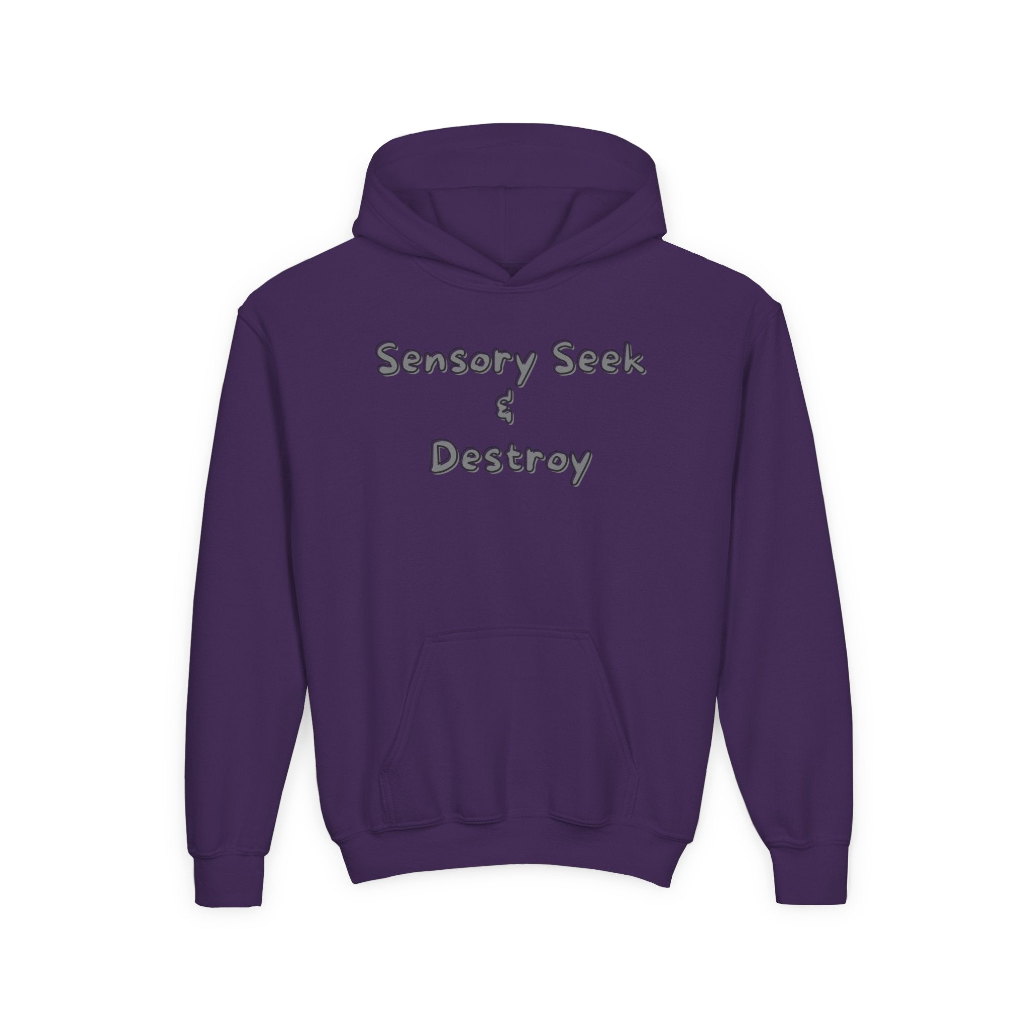 “Sensory Seek & Destroy” Youth Hoodie